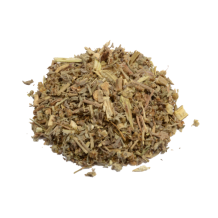 images/productimages/small/Artemisia Absinthium-wormwood.png